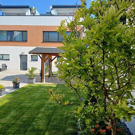 Penthouse Griemann 1 Mit Infrarotkabine Und Eigener Dachterrasse Fuer Max 4 Personen 일미츠 외부 사진